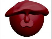Tete bouton 1